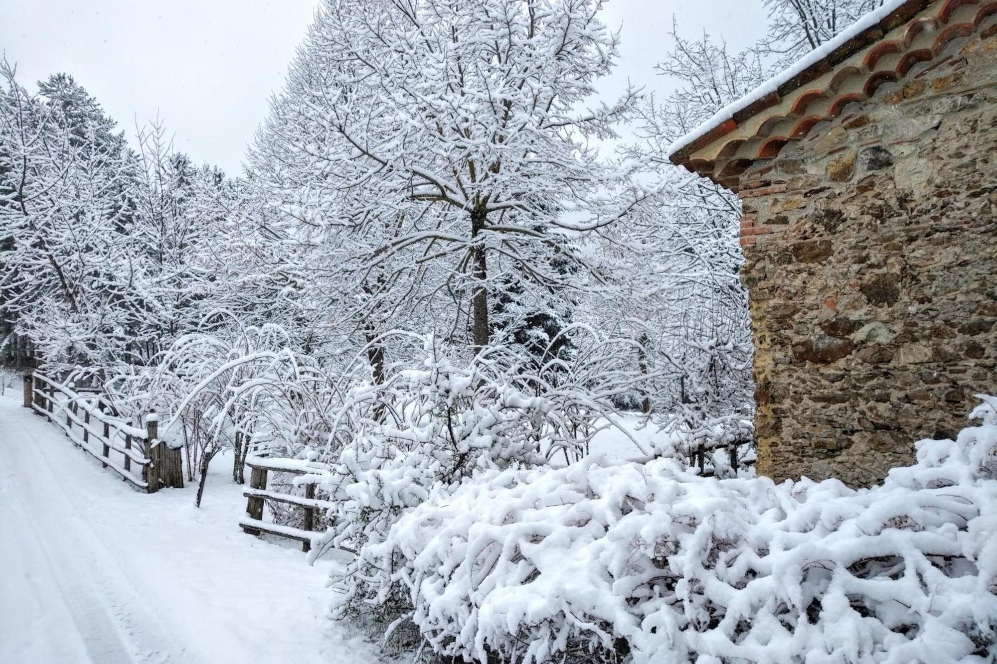 Hotel Torre Camigliati Dimora Storica Camigliatello Silano Exteriér fotografie
