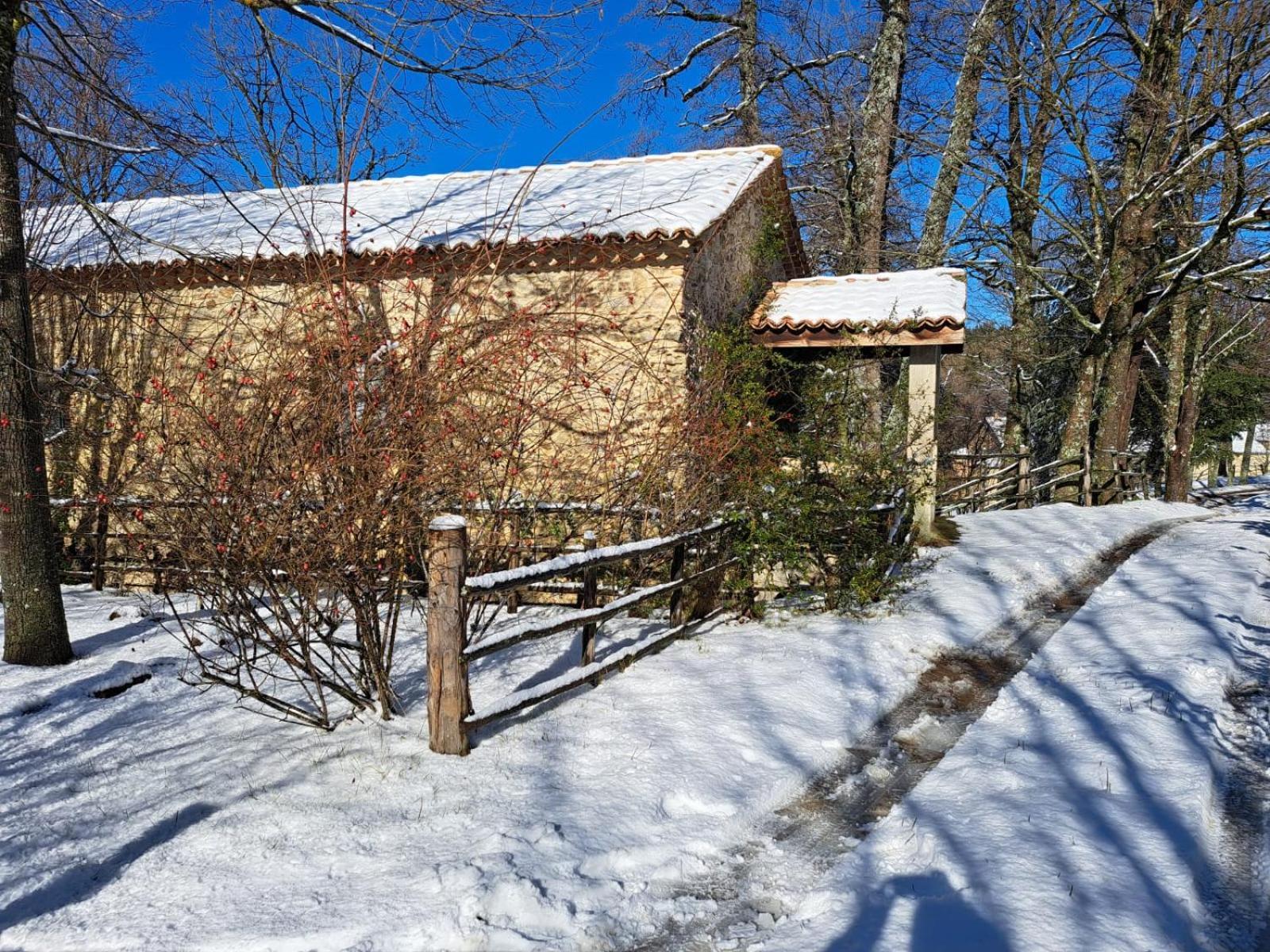 Hotel Torre Camigliati Dimora Storica Camigliatello Silano Exteriér fotografie