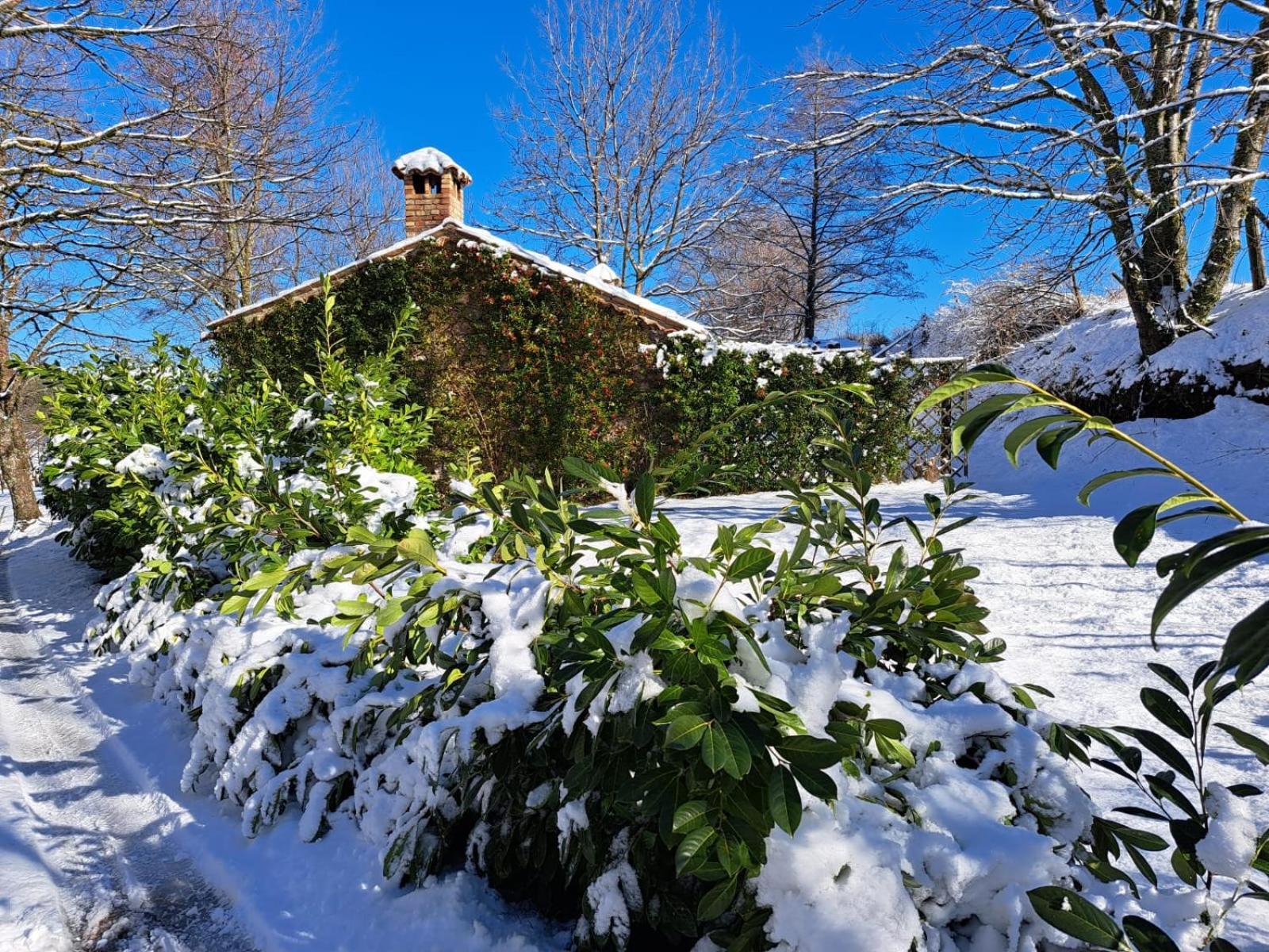 Hotel Torre Camigliati Dimora Storica Camigliatello Silano Exteriér fotografie