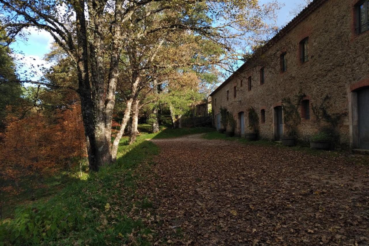 Hotel Torre Camigliati Dimora Storica Camigliatello Silano Exteriér fotografie