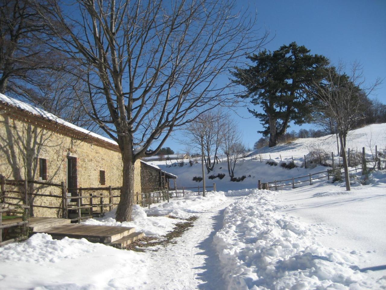 Hotel Torre Camigliati Dimora Storica Camigliatello Silano Exteriér fotografie