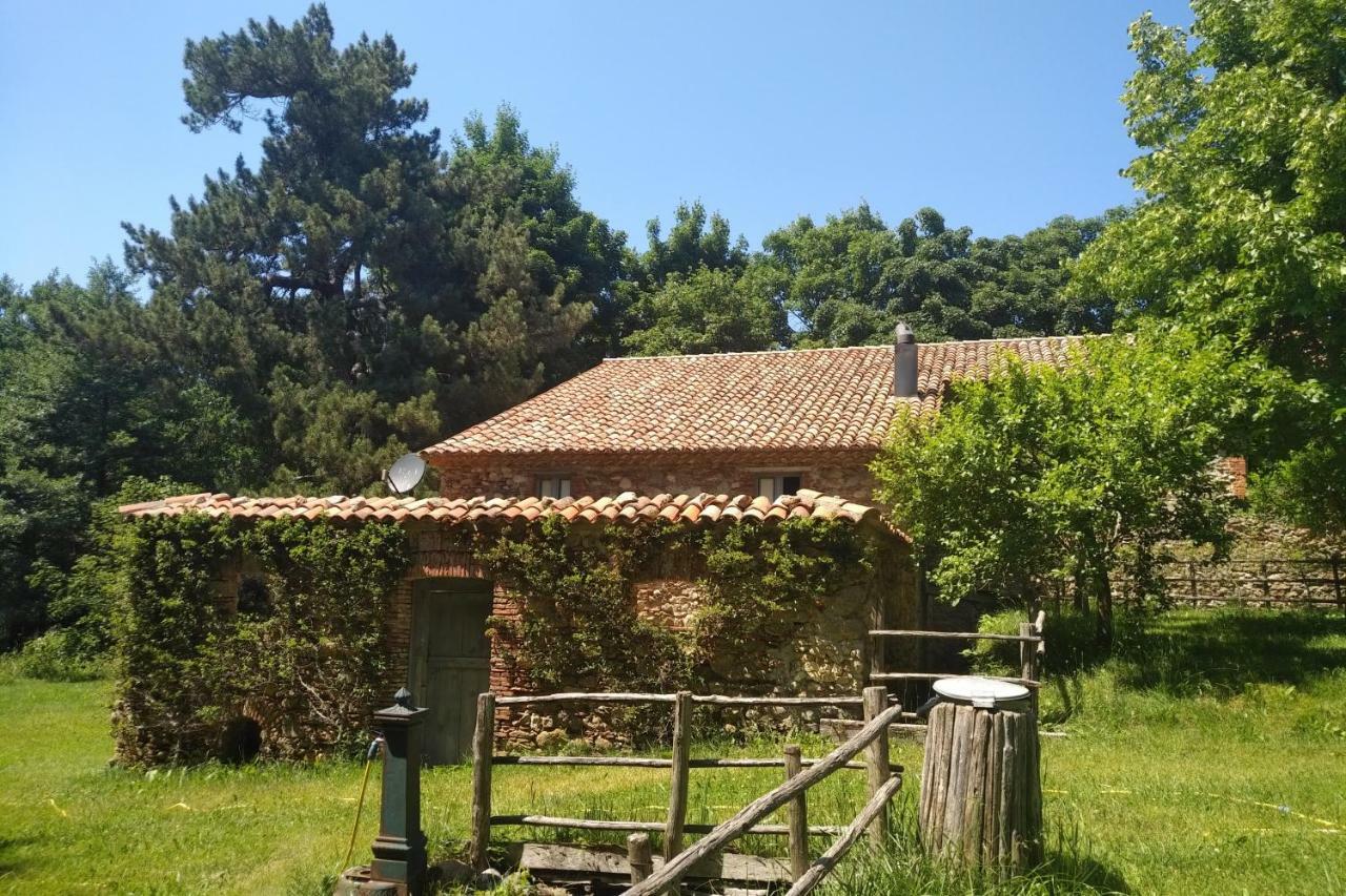 Hotel Torre Camigliati Dimora Storica Camigliatello Silano Exteriér fotografie