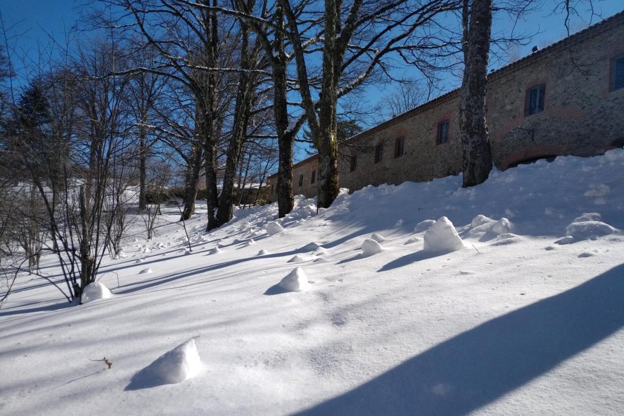 Hotel Torre Camigliati Dimora Storica Camigliatello Silano Exteriér fotografie
